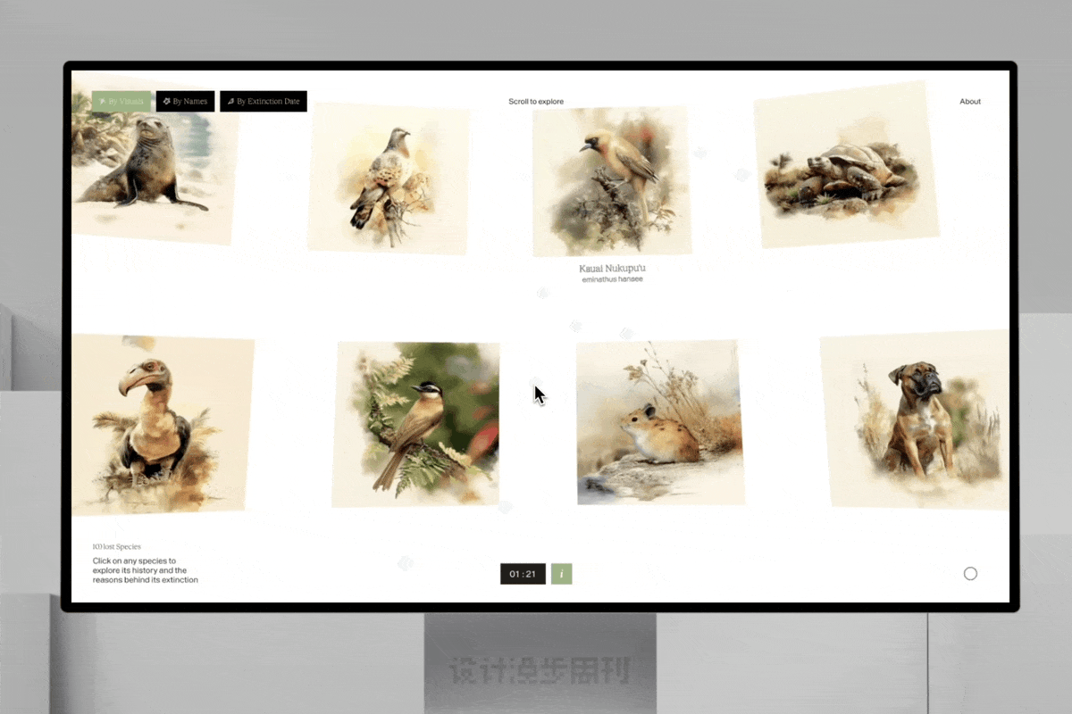 An image to describe post